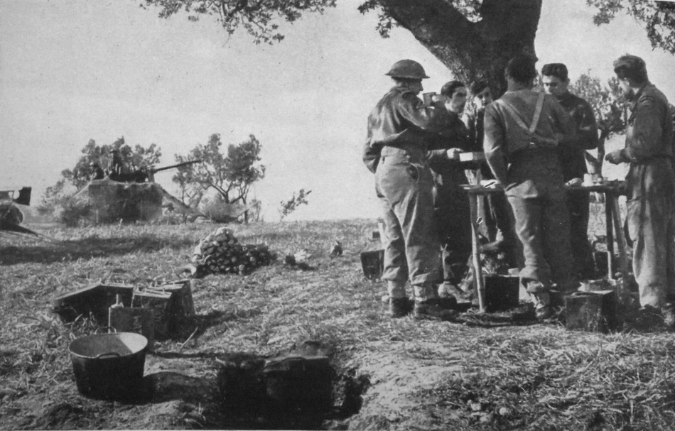 Self Propelled Bofors Gun, Eighth Army Italy, 1944 