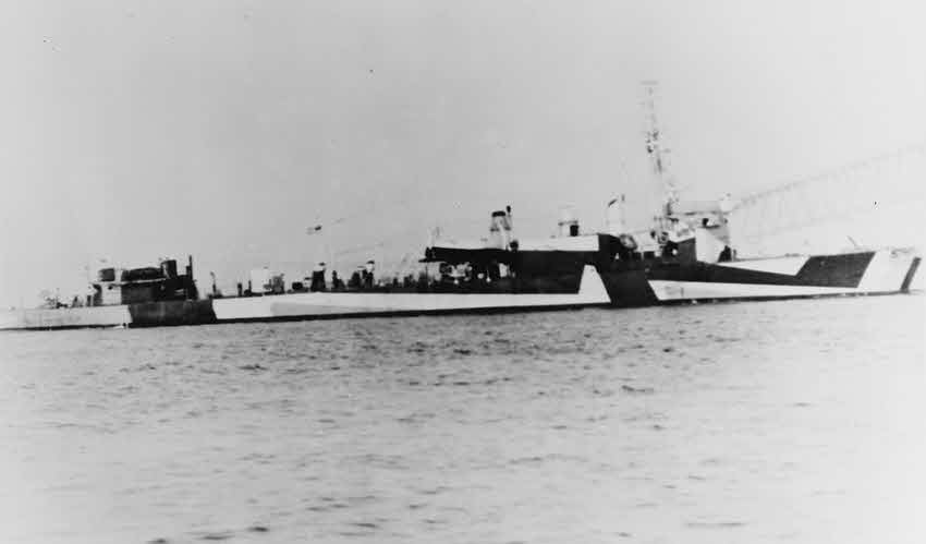 USS Du Pont (DD-152), Camo Measure 32, Pattern 3D, 6 October 1944 