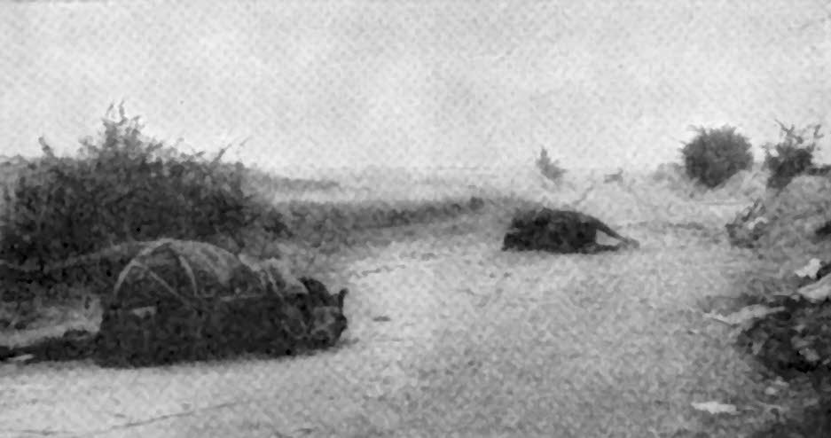 Aftermath of fighting at Barcy, First battle of the Marne 