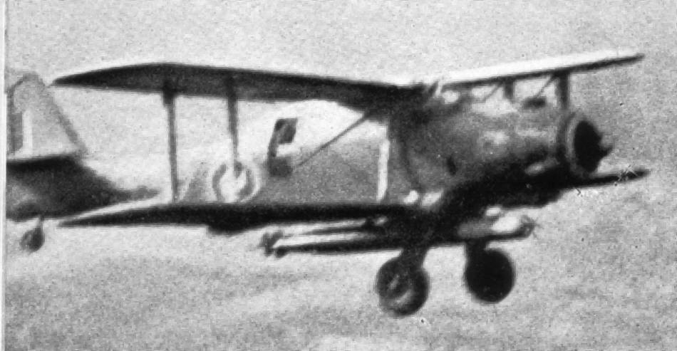 Fairey Albacore in Flight