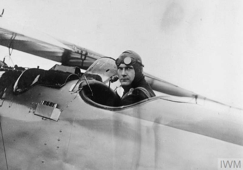 Lt Hartmuth Baldamus in Albatros D.II 