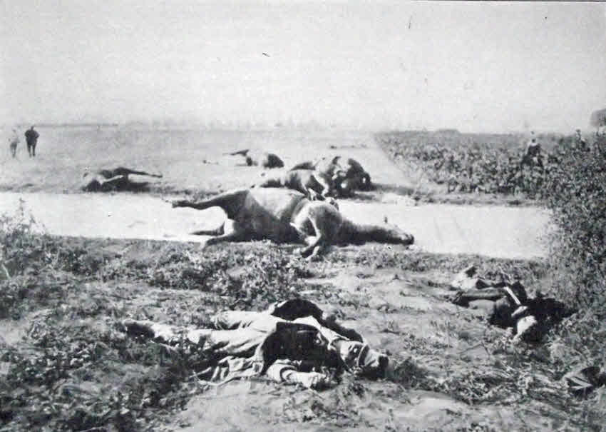 Belgian dead during the fighting of 1914 