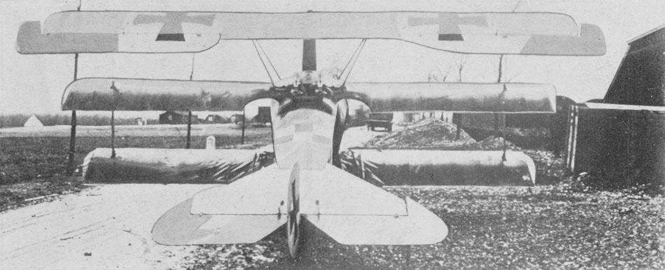 Fokker Dr.I from the rear 