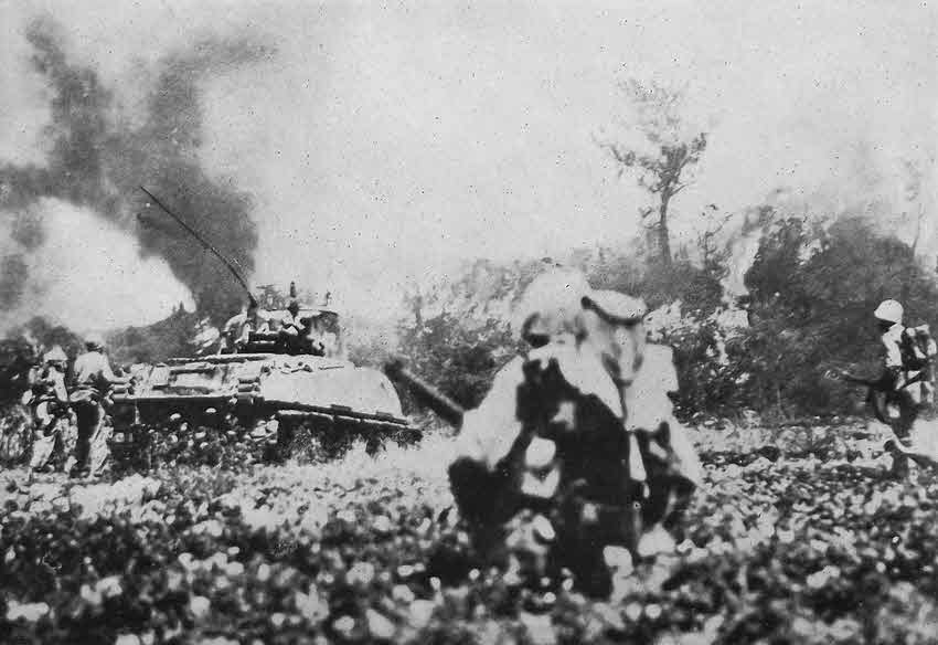 Flamethrower Tank Ignites the undergrowth, Okinawa 