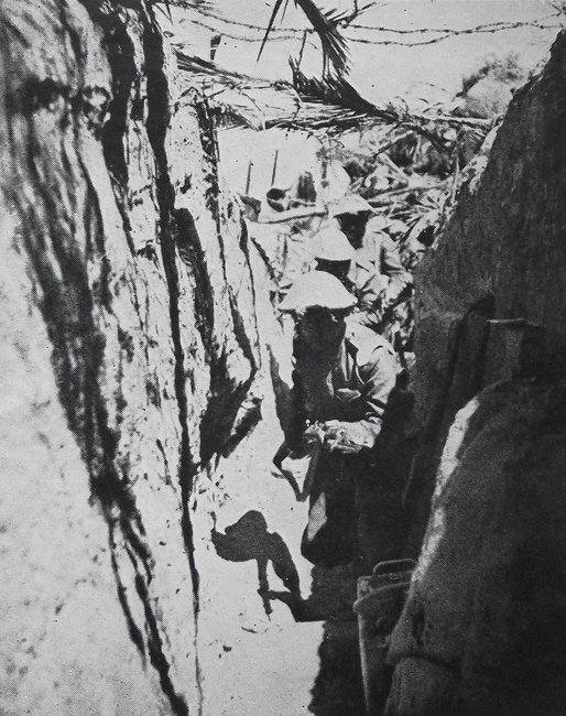 Trench on the Mareth Line 
