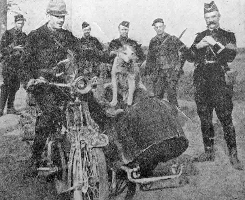 Motorbike Scouts with a message dog 