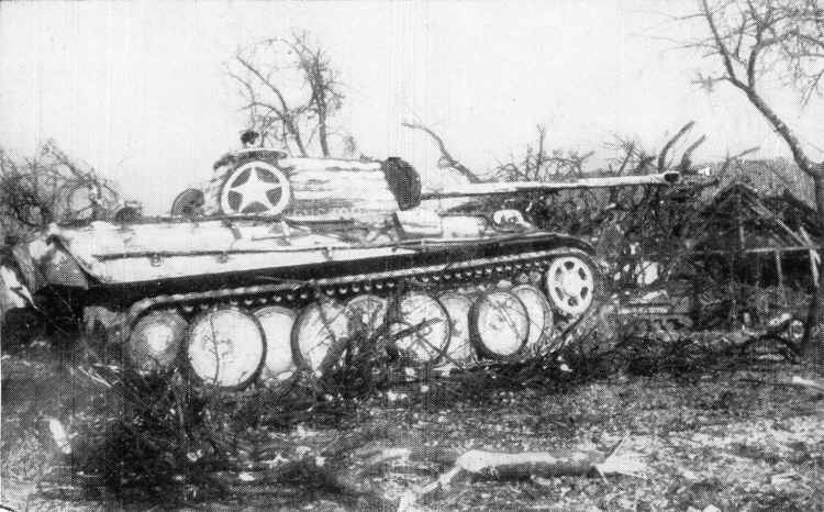 Panzer V ausf G/ Panther I 'Cuckoo' 