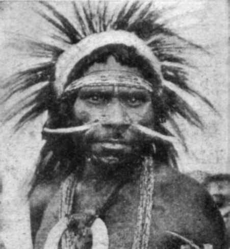 Native Papuan of the Upper Purari Valley