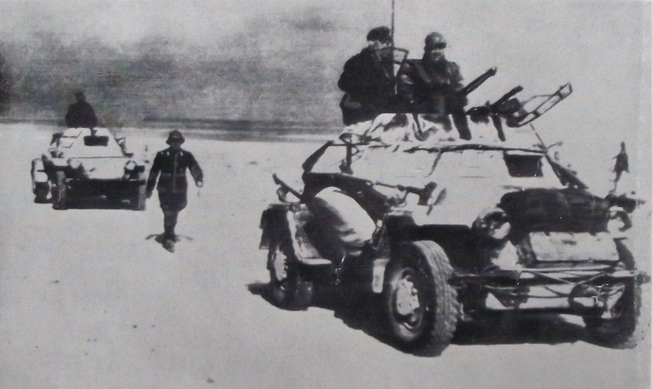 Sd Kfz 222 Armoured Car, Tripoli, 1941