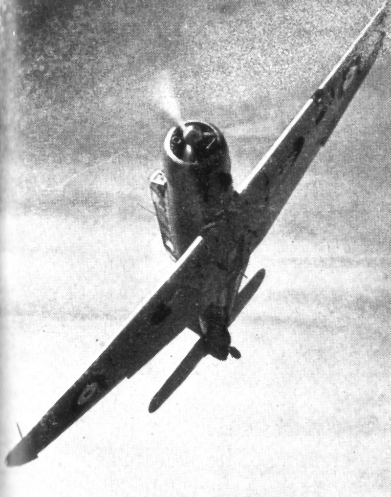 The Blackburn Skua was a Fleet Air Arm fighter early in the Second World War