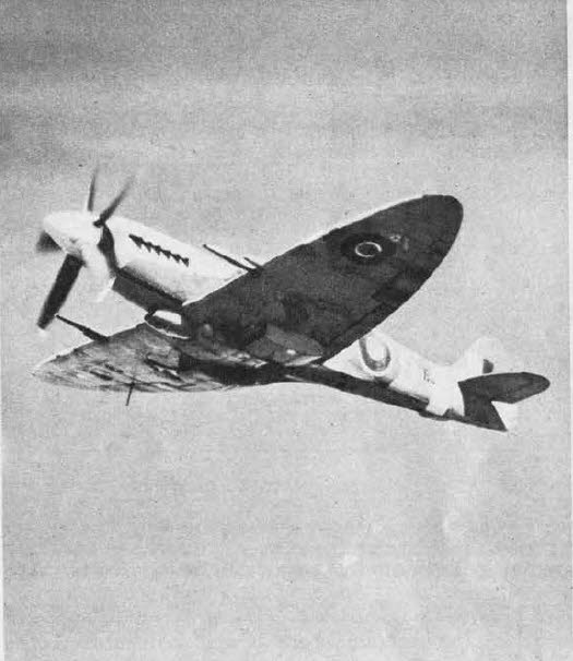 Spitfire XIV from below left 