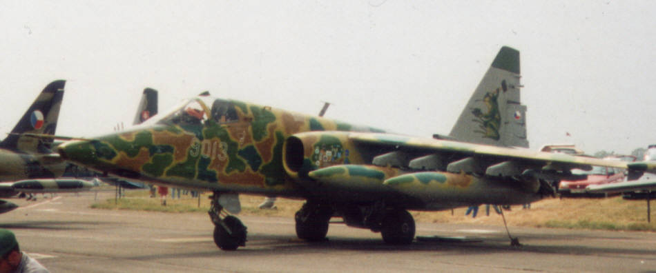 Sukhoi SU-25 'Frogfoot' (6 of 6) 