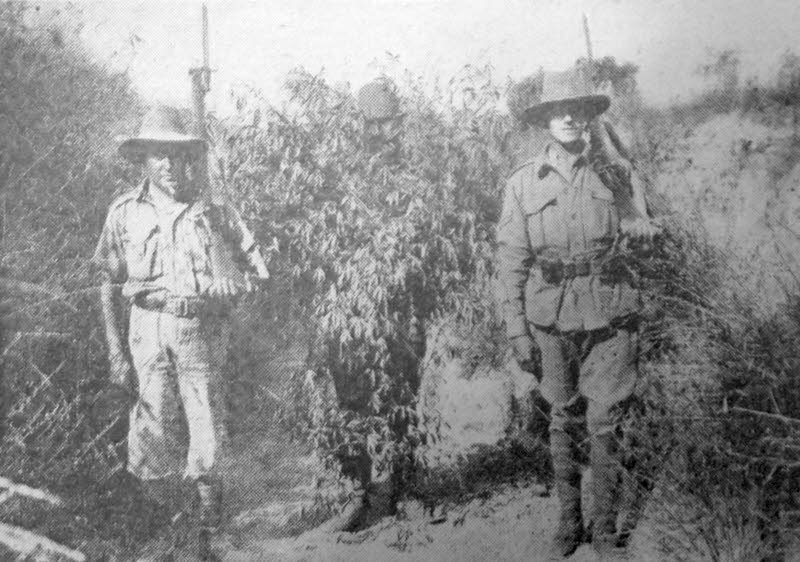 Turkish sniper captured at Gallipoli 