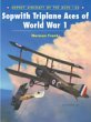 Link to review of Sopwith Triplane Aces