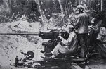 40mm Bofors Gun, Bougainville 