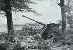 88mm gun and 17-pounder gun, Cagny, 1944 