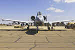 Nose view of A-10 of 104th Fighter Wing, Iraq 2003 (2 of 2) 