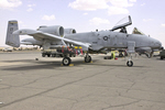 A-10 No.707 of 118th TFS, Iraq, 2003 