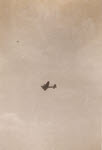 Part of B-17 Formation (6 of 6) 