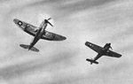 P-47 Thunderbolt and Fw-190 from below 