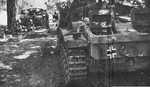 StuG III from the rear, Italy 