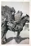 Air Gunner on Horse, North Africa 1943 