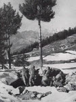 Alpine Front, Winter 1944-45 