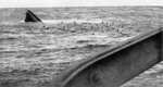 Italian Submarine Asteria sinking, 17 February 1943 