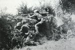 Bazooka on Normandy hedgerow 