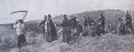 Belgian Troops digging trench, 1914 