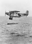 Blackburn Ripon IIA dropping torpedo 