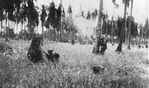 Australian mortar firing during final assault on Buna