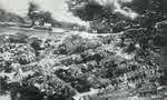 Caen under Siege, 1944 