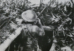 Chinese soldier in foxhole, northern Burma 