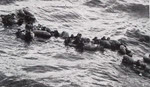Crew of U-877 in the Water 