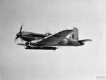 Blackburn Firebrand F.I in Flight 