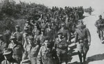 German POWs captured at Vitebsk 