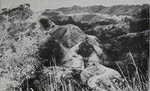 Tank on Imphal-Ukhrul Road, 1944 