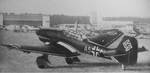 Woodason Model of Junkers Ju 87B 