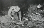 German troops laying Tellermine 42 