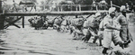 Mules of 14th Division, Burma 