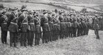 National Volunteers, Ireland, 1914 