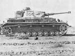 Side view of Panzer IV ausf F2 
