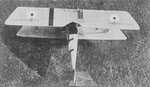 Pfalz D.III from above