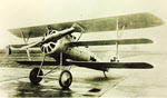 Pfalz Dr.I from the front-left 