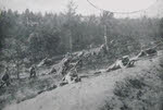 Russian troops advance in a Polish wood, 1915 