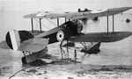 Sopwith Baby in the Water 