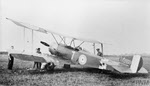 Sopwith 1 1/2 Strutter of No.78 Squadron 