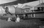Sopwith 1 1/2 Strutter Bomber N5116 