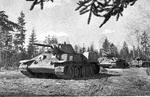T-34 Model 1941 or 1942 on forest road 